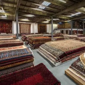 Rugs By Collection